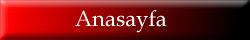 Anasayfa