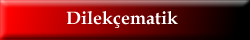 Dilekçematik
