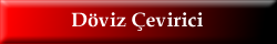 Döviz Çevirici