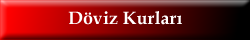 Döviz Kurları
